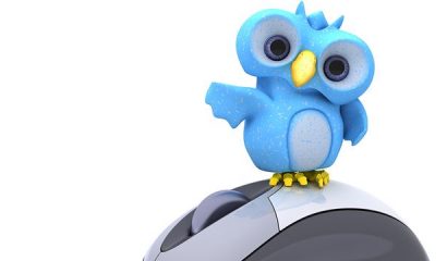 4 Proven Ways To Get More Twitter Followers using twitter for business
