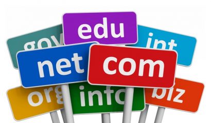Choosing a Domain Name